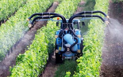 CONCIMAZIONE FOGLIARE E I VANTAGGI DEL SUO UTILIZZO