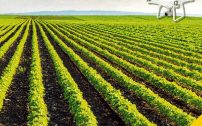 Tecnologia a supporto dell’agricoltura