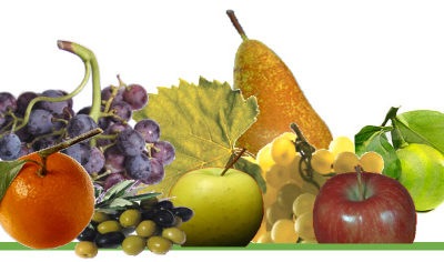 Agrospecialità Dal Cin