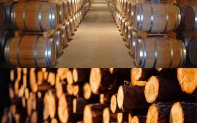 Ringiovanimento del parco legni in cantina