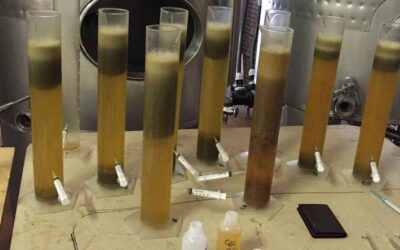 Chiarifica dei mosti: la flottazione