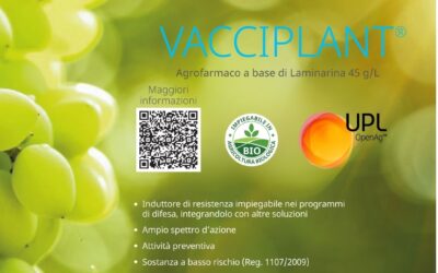 VACCIPLANT: induttore di resistenza a base di laminarina